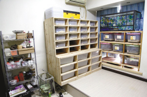 С��������������߽�������ĸ�ף���Ȥ�е��̬��ͼ��