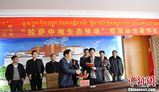 拉萨提出2020年实现奶牛存栏20万头