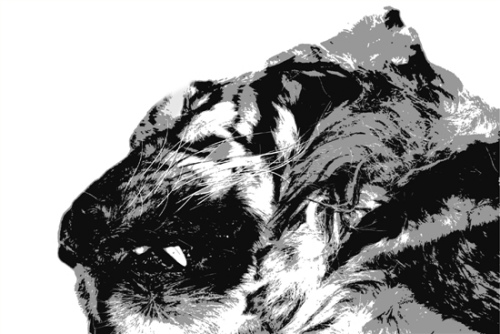 ���ݲ�����ƶ�����ʬ��������Ϊ��Ǯ�������ԣ�ͼ��