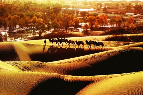 �½�������ˮ͸֧״̬�����ռ俪����������Ϊ��