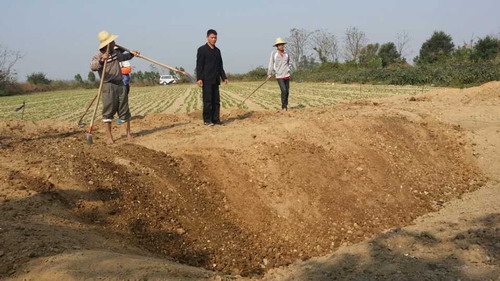 海南东方荣村古遗址发现新石器时代至汉代陶片500件