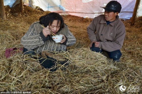 �����Ϻ��������������15�����侫��ʧ�������ˣ�ͼ��