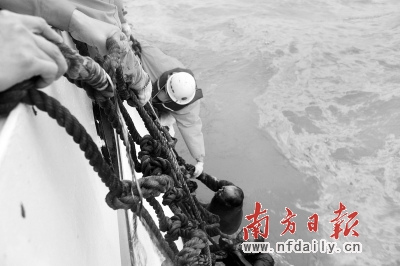 珠江口两船相撞5人失踪粤港两地海陆空立体搜救