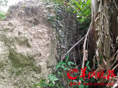 ũ��ι������ϵ�ܳ�������¦�Ź��������㶫�ݶ���