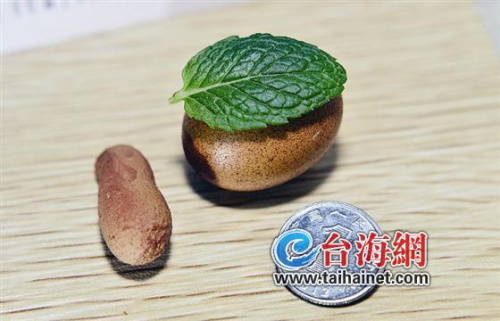 ĸ�������Ŀ����䵰һëӲ�Ҵ�С�����ƻ�����ͼ��