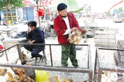 ����H7N9�����������������߳�Ժһ������30��ͼ��