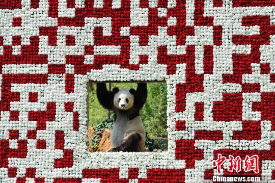 ȫ������ʻ���ά��������������è������ͷ��