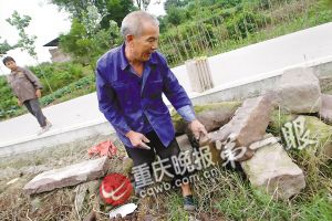 �����������������조ʳ�˾�������ûҥ�Ա����棨ͼ��