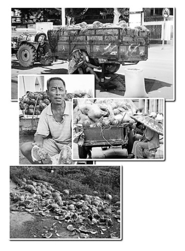 郑州“西瓜办”服务瓜农遭误解网友批大V乱传信息