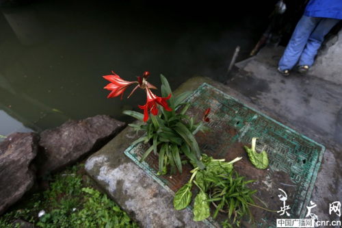 ������Ѯ�����Ͼ��Ŷ�12�꣨��ͼ����3��