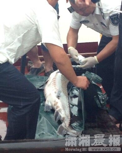 ��������л���������ͥ������վ�������Σ�ͼ��