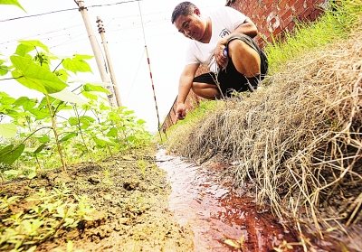 ����һ��������ը��Ⱦ��ҵ�����ذ�����Ϊ����ͼ��