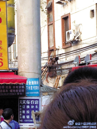 ���Ӹ�������ʱ�����������߲���ð�����̣�ͼ��