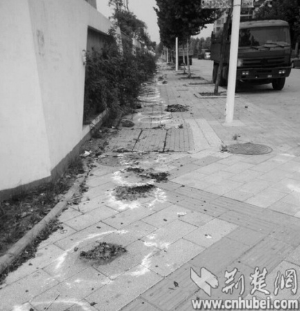 ������Ԫ����ֽǮ�����ճ��人���ۡ��˰̡���ͼ��