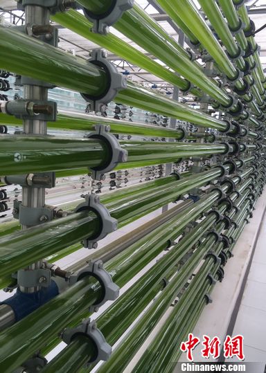 �����Դ���ݾ���һ�廯����ú���̡���Ϊ��ʵ