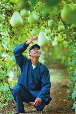 ����������ֲ��«10��ֻ����Ӱ�������«�ޡ���ͼ��