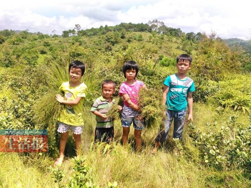 ����ȥ��ĸ����ҳ������������ø����ѧ�ѣ�ͼ��