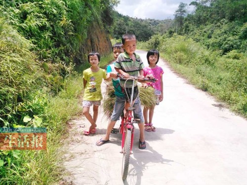 ����ȥ��ĸ����ҳ������������ø����ѧ�ѣ�ͼ����2��