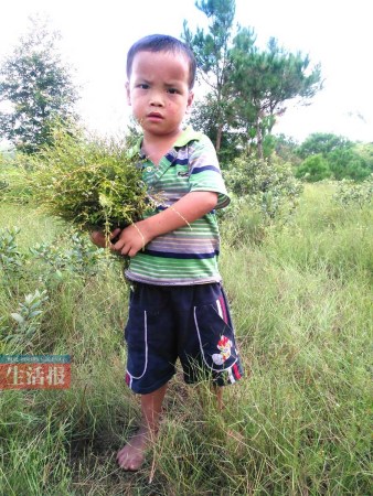 ����ȥ��ĸ����ҳ������������ø����ѧ�ѣ�ͼ����3��