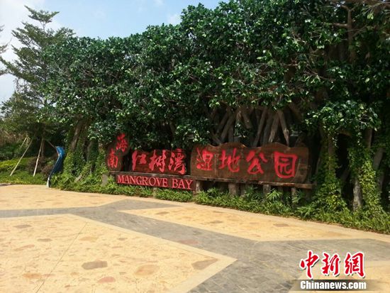 ��ý�����߽�����������ʪ�ع�԰��Ȼ���������飨ͼ��