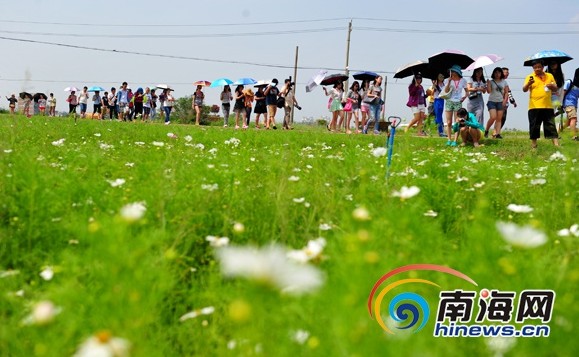 ȫ����ý������������ǧĶ����Ʒ�������衱