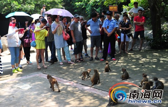 ��ý������ˮ�ﵺ��⨺����ܽӴ��ȴ�����������