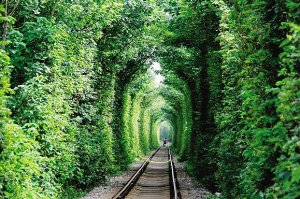 �Ͼ����������������������Ҫ�������Ѵ����ϧ