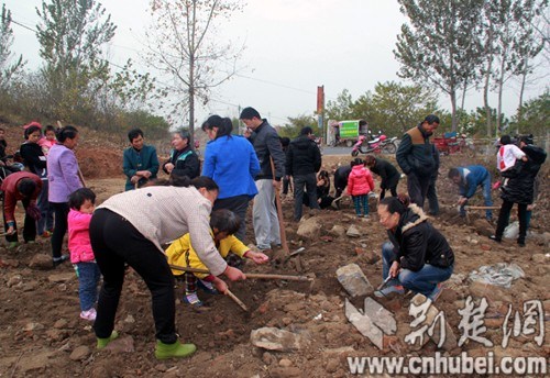 ����Т��һ�������ڷ�������Ԫ�������ӵ�ڱ���ͼ��