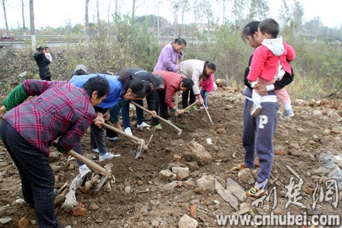 ����Т��һ�������ڷ�������Ԫ�������ӵ�ڱ���ͼ����4��