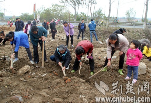 ����Т��һ�������ڷ�������Ԫ�������ӵ�ڱ���ͼ����5��