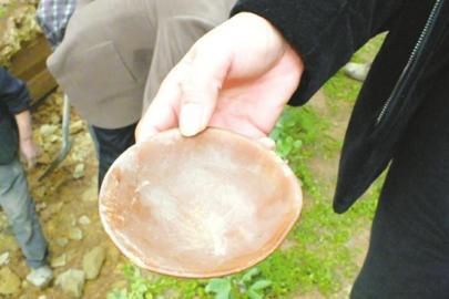 �Ĵ������δ���Ĺ����������һֻ900��ǰ���루ͼ��