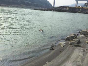 �Ĵ�����������ɱ��ĸ��������ʬ�������ݽ���3�죨ͼ��