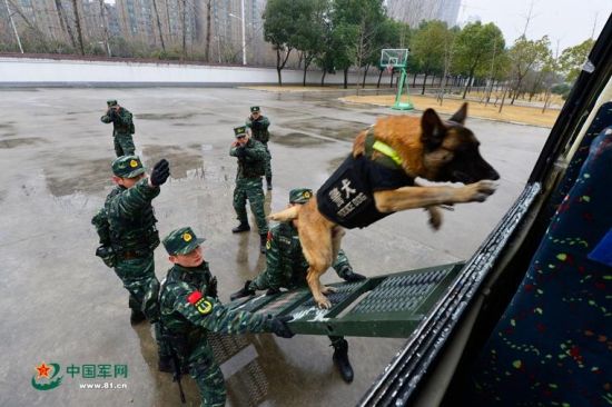 安徽武警备战春运出动无人机 警犬抢镜