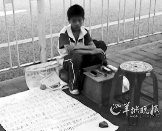 13���������ѧͽ��300������ݲ�Ь�����ͼ��