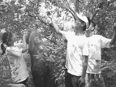 ҵ�磺�ߵ�ԺУӦ������ǿ��������