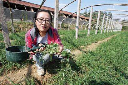 ��ѧŮ��ʦ��ְ�ֲ�����Ϊ�ü��˳��ϰ�ȫʳƷ