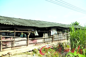 �㶫˳��һ��ѧ��ǧѧ������������п����ͼ��