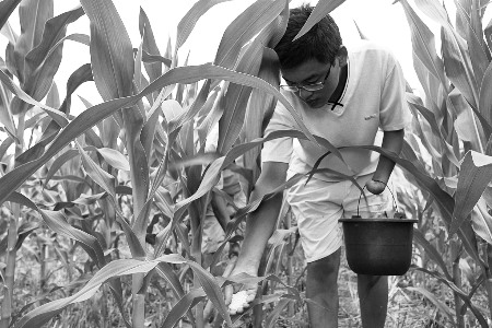 "断掌"男孩两次考上一本后放弃 为圆哥哥学业梦