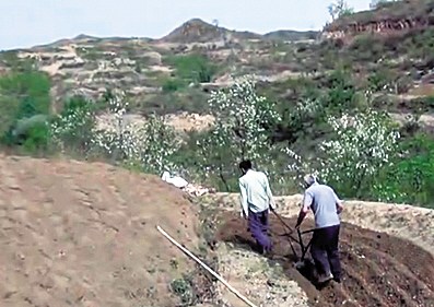 �о��������ֵ�:��ҵʱ�Ѿ�40���ҷݹ������Ѷ�