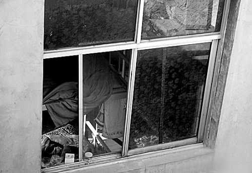 ���Ů������������׹��������ϵ����������ͼ��