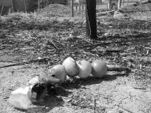 ��ͯģ�»�̫�ǡ������⡱����������˱�����