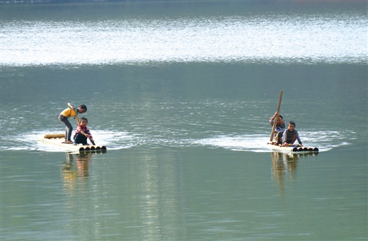 ����������ʮ���������ѧ����ͳ������ͣ