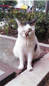 �㽭��ýѧԺ������è�������Լ�΢����ר������