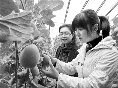 �ӱ������أ���ѧ����������֡���Ķ�ء�