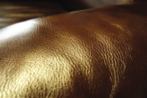 鉴别真皮沙发 先看毛孔