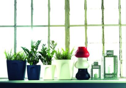 ��װ�Ĳɹ������֮����ͼ��