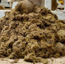 公园卖自产犀牛粪 人民币100元一份