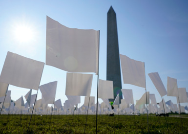 华盛顿国家广场竖白旗纪念新冠逝者