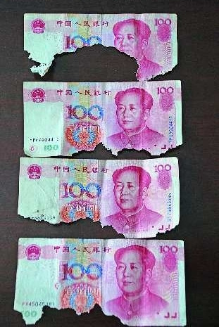 本报曾经报道过禹城张先生家的人民币被老鼠啃坏的事情,并提醒市民