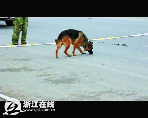 ��Ѫ���� Ѫ������ȮЭ������ɱ�˷�ʬ��(ͼ)